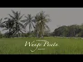 Lagu TUMET LEUT WUNGE PESETN - ANTONIUS HAYAK BAMARA (official video)