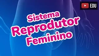 SISTEMA REPRODUTOR FEMININO - Prof. Paulo Jubilut