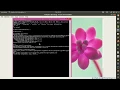 0 KinyaRwanda English Python Programming Install Python on windows OS