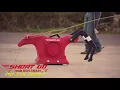 Rope Smart Dummy Line-up
