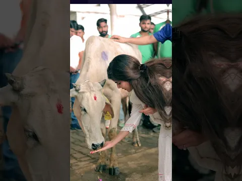 इंसानों के लिए तो अस्पताल देखे होंगे अब गौ माता के लिए बन रहा है 10मंज़िला हॉस्पिटल! #shortfeed #cow