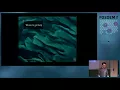 GDAL Tips and Tricks GDAL installation Python usage and Cloud GeoTIFFs
