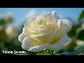 Download Lagu Веселитесь🌺Сборник ЛУЧШИХ мелодий для сердца🌿Великолепная музыка, Сергей Грищук
