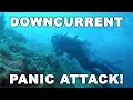 Download Lagu We Got Caught in a Downcurrent - PANIC (Sipadan, Island) | Diving Malaysia | MayenTV