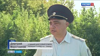Несколько сотен квадратных метров конопли уничтожили сегодня в Омске