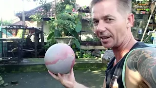MONKEY MEETS SOCCER BALL FIRST TIME!! #funnyvideo #funny #monkey #monkeys #funnyanimals 