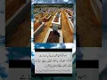 Download Lagu Surah | yasin | surat rahman | yaseen | rahman quran [ tilawat | naat  | statusislami | #WKislamics