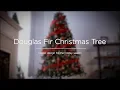 SKY5459 5460 5461 Pre-Lit Hinged Douglas Full Fir Artificial Christmas Tree