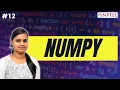Numpy Python for Data Science