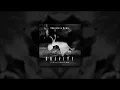 Cat Dealers & Evokings feat Magga - Gravity (Shapeless Remix)