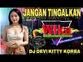 Download Lagu JANGAN TINGAL KAN DJ Devi KITTY KOREA WIKA SANG PENJELAJAH SUMSEL