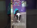 of adoptable pet named Roscoe