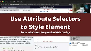 Use Attribute Selectors to Style Elements Basic CSS freeCodeCamp tutorial