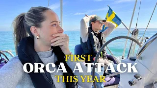 We’re Sailing Straight Through Orca Territory in Portugal