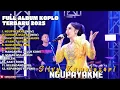 Download Lagu NGUPAYAKNE - SILVY KUMALASARI FULL ALBUM TERBARU DANGDUT KOPLO TERBARU 2025 