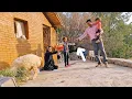 Download Lagu Life in the Mountains: The Return of a Kind Man and a Gift for Orphaned Nomadic Girls