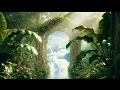 Enchanted Forest VJ Loop by JP