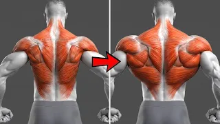 5 Back Exercises to Build a Bigger Back Naturally