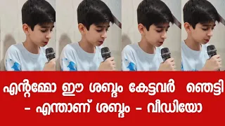 എന്റമ്മോ ഈ ശബ്ദം കേട്ടവർ  ഞെട്ടി - എന്താണ് ശബ്ദം - വീഡിയോ 