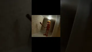 إن تن تن ساهور 