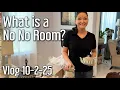 Download Lagu What is a No No Room?! Vlog 10-2-25