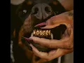 VIBES DON'T LIE (REMIX)