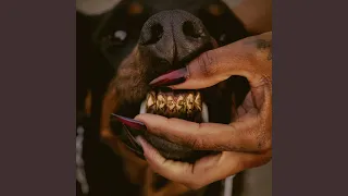 VIBES DON T LIE REMIX 