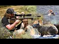 Download Lagu Hyrax \u0026 Goose Hunt with PCP Airguns - A Busy Day in the Mountains!