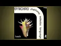 Download Lagu SYNCHRO RHYTHMIC ECLECTIC LANGUAGE - \
