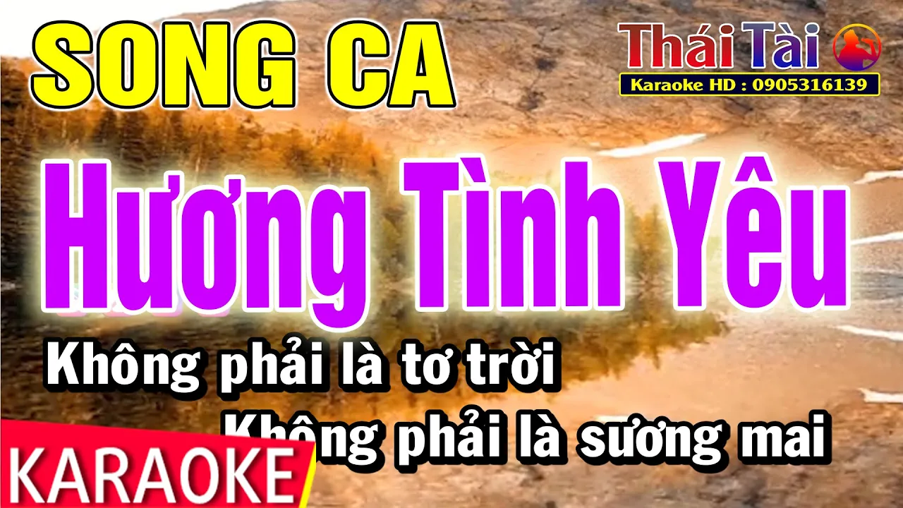 Karaoke Hương Tình Yêu Song Ca | Thái Tài