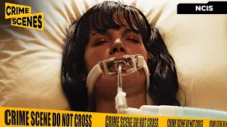 Abby Has Been Shot And Is Clinging To Life NCIS Mark Harmon Sean Murray Pauley Perrette