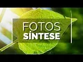 Download Lagu Do inorgânico ao orgânico | Terra Viva #13