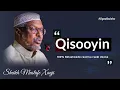 Download Lagu Qisooyin 100% Noloshaada Raad Ku Reebi Doona || Sheikh Mustafe Xaaji @OGAALBULSHO #qisoshmustafe 