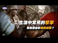 Download Lagu 生活中常見的擊掌竟然源自於種族歧視？｜BiGDUB 冷知識