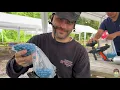 Paintball Atlanta 2022
