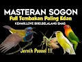 Download Lagu Ini baru josss!! MASTERAN SOGON FULL ISIAN MEWAH Kenari,lovebird,belalang  emas
