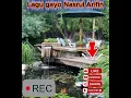 Download Lagu Lagu Gayo Nasrul Arifin-BOTA