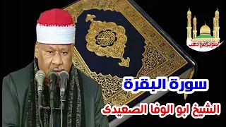 الشيخ ابو الوفا الصعيدى سورة البقرة 