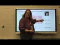Final schwa r Syllables R-controlled vowels at the end of words