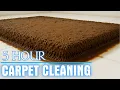 Ultimate Deep Sleep Relaxing ASMR Carpet Cleaning for Perfect Sleep - 5 Hour Carpet Cleaning