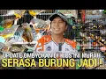 Download Lagu BURUNG MURAH ! SERASA BURUNG JADI MULAI HARGA 15RB AN BEBAS PILIH BOWO MURAI JELAMBAR 