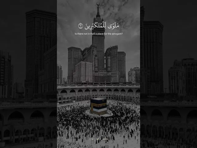 ⁣ویَوۡمَ ٱلقِیَـٰمَةِ تَرى ٱلّذِینَ كَذَبُوا۟ عَلَى ٱللَّهِ وُجوههُم مُّسوَدَّةٌۚ ..|| الشيخ علي جابر