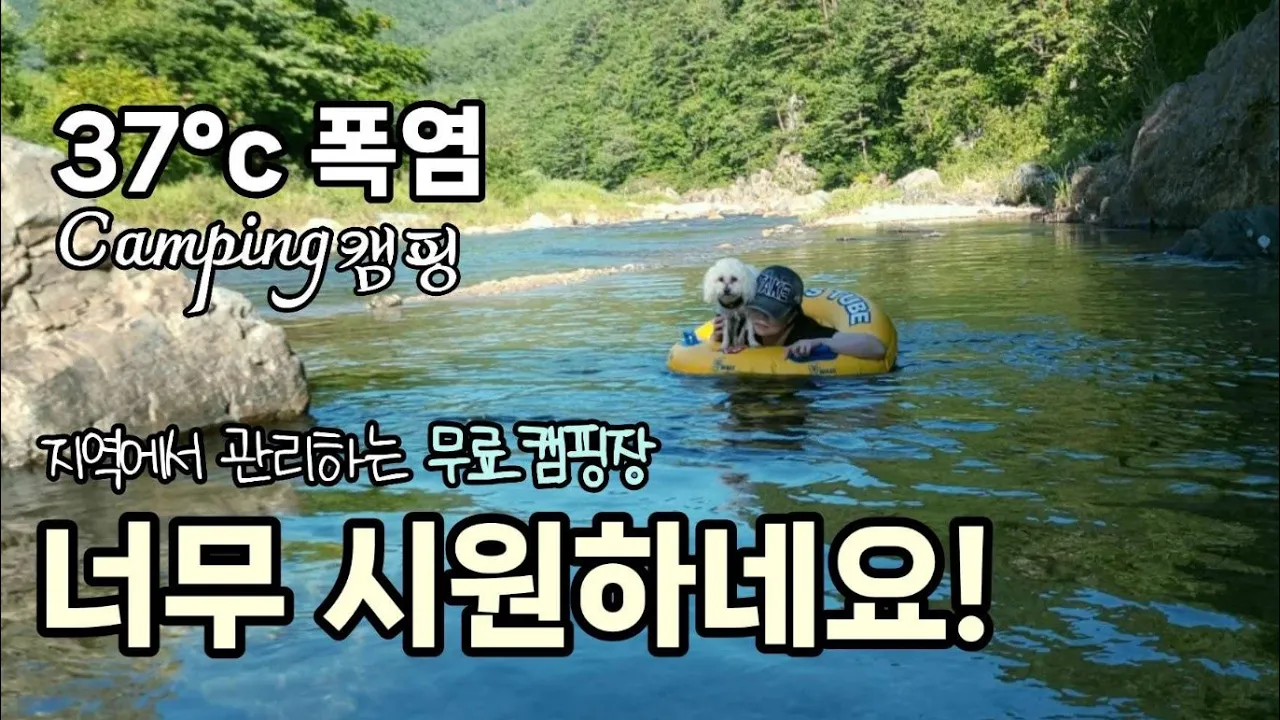 폭염??넓은 계곡과 나무그늘이 울창한 파쇄석노지 가보실래요?/지역에서 관리하는 깨끗한 무료노지/화장실/카라반 캠핑카 차박 텐트 가능/쿡테크30 보조배터리/애견동반캠핑/Camping サムネイル