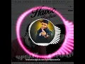 Download Lagu Havoc Brothers Mashup | Havoc Mathan | PU4LYF | 2K18 |