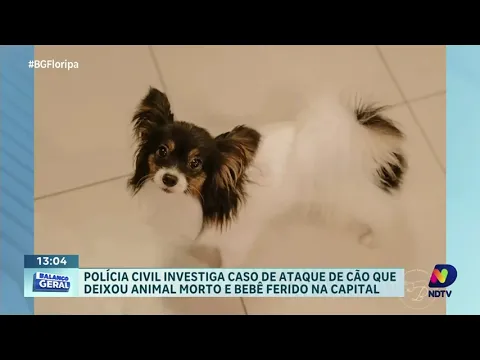 Investigação em andamento: Polícia Civil apura ataque de cão que deixou bebê ferido e animal morto