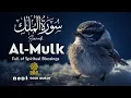 Download Lagu Surah Al-Mulk | سورة الملك – Calming Tilawah that Brings Peace, Quran For Sleep
