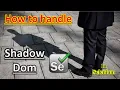 How to handle Shadow Dom web elements in Selenium
