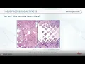 Lessons From The Laboratory Optimizing Your Tissue Processing