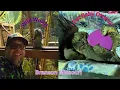 Download Lagu Meeting Amazing Animals At Wild World Branson | OMG I Got To Pet Baby Otters | Branson MO | Awesome
