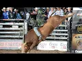 The C E O Chase Outlaw Rides SMOOTH WRECK for 93 75 Points 2019 Last Cowboy Standing